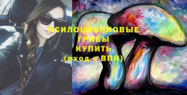 ГАЛЛЮЦИНОГЕННЫЕ ГРИБЫ Коряжма