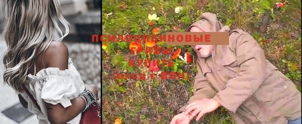 молекула духа Козловка