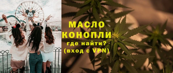 молекула духа Козловка