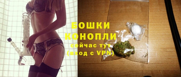 ГАЛЛЮЦИНОГЕННЫЕ ГРИБЫ Коряжма
